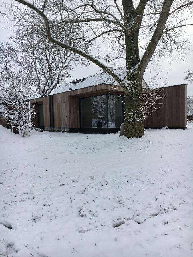 B&B Nyte Drongen Bagian luar foto