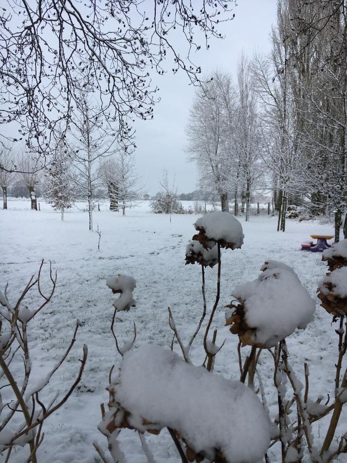 B&B Nyte Drongen Bagian luar foto